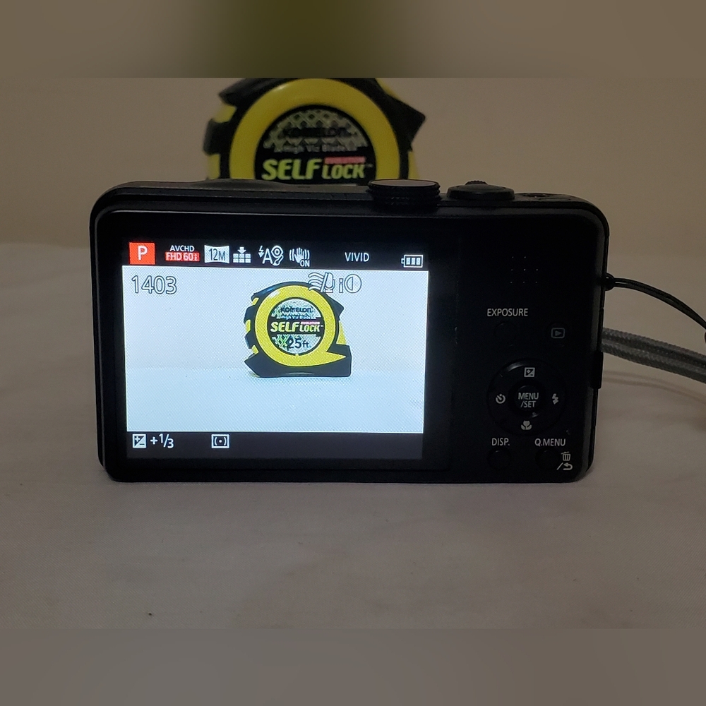 Panasonic Lumix DMC-ZS25 Digital Camera - Picture 10 of 15
